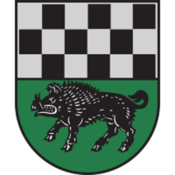 Wappen der Stadt Kirchheimbolanden