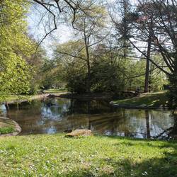 Stadtwald Kirchheimbolanden.jpg Stadtwald Kirchheimbolanden.jpg